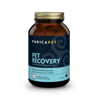 Pet Recovery Extra Strength