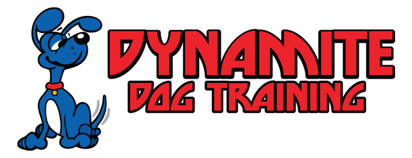 Dynamite Dog Training