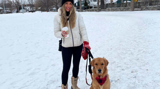 Learn the basics of how to crate train your dog from Jessica & Diesel