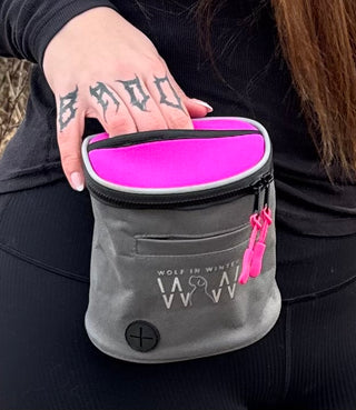 QuickDraw® Treat Pouch