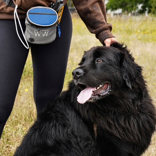 QuickDraw® & Quick Draw XL Treat Pouch