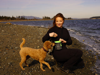 QuickDraw® Treat Pouch