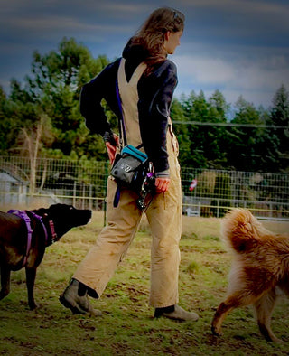 QuickDraw® & Quick Draw XL Treat Pouch