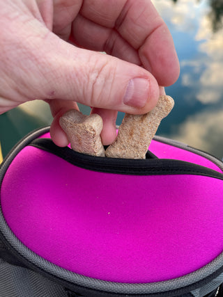 QuickDraw®️ XL Dog Treat Pouch